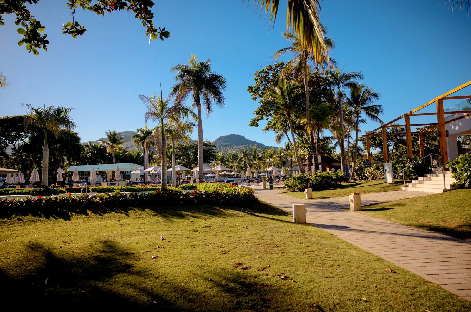 2025 DOMINCAN REPUBLIC-35.jpg