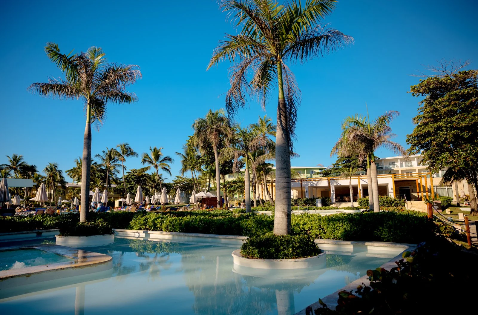 2025 DOMINCAN REPUBLIC-36.jpg