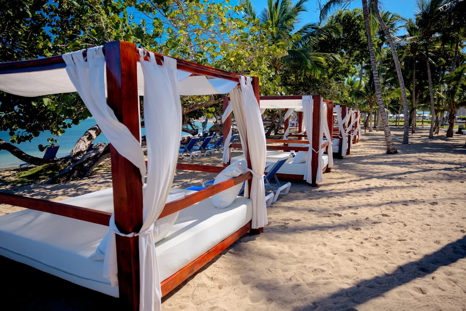 2025 DOMINCAN REPUBLIC-61.jpg