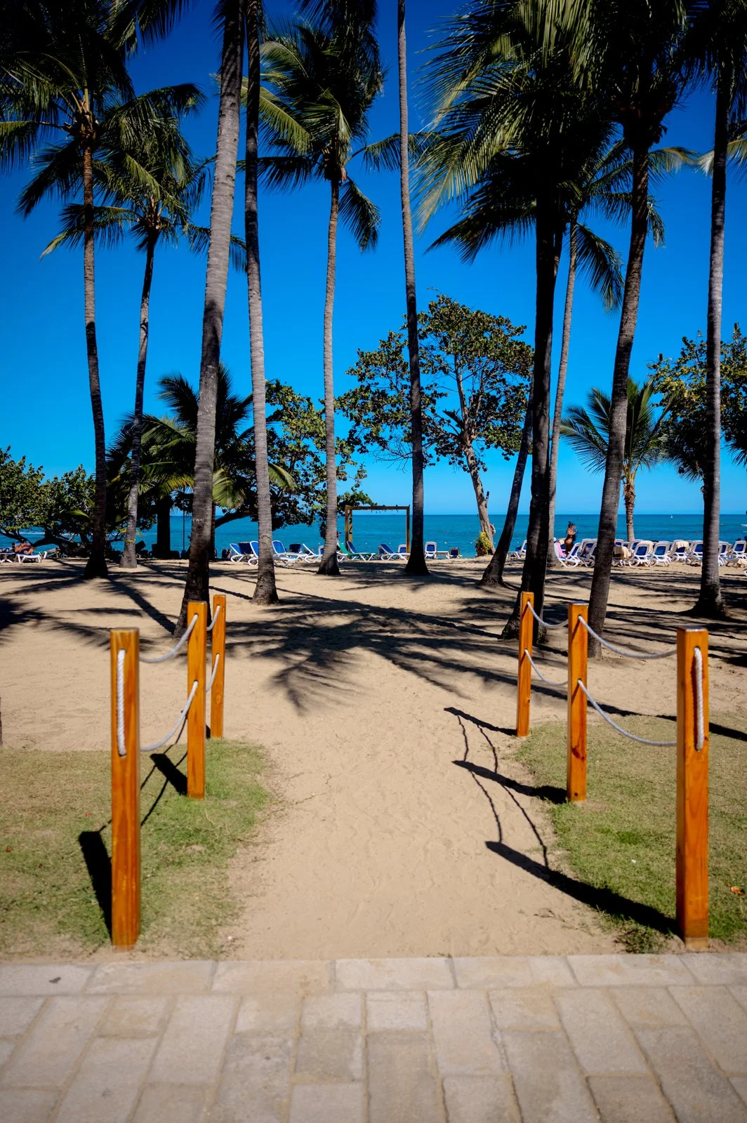 2025 DOMINCAN REPUBLIC-65.jpg