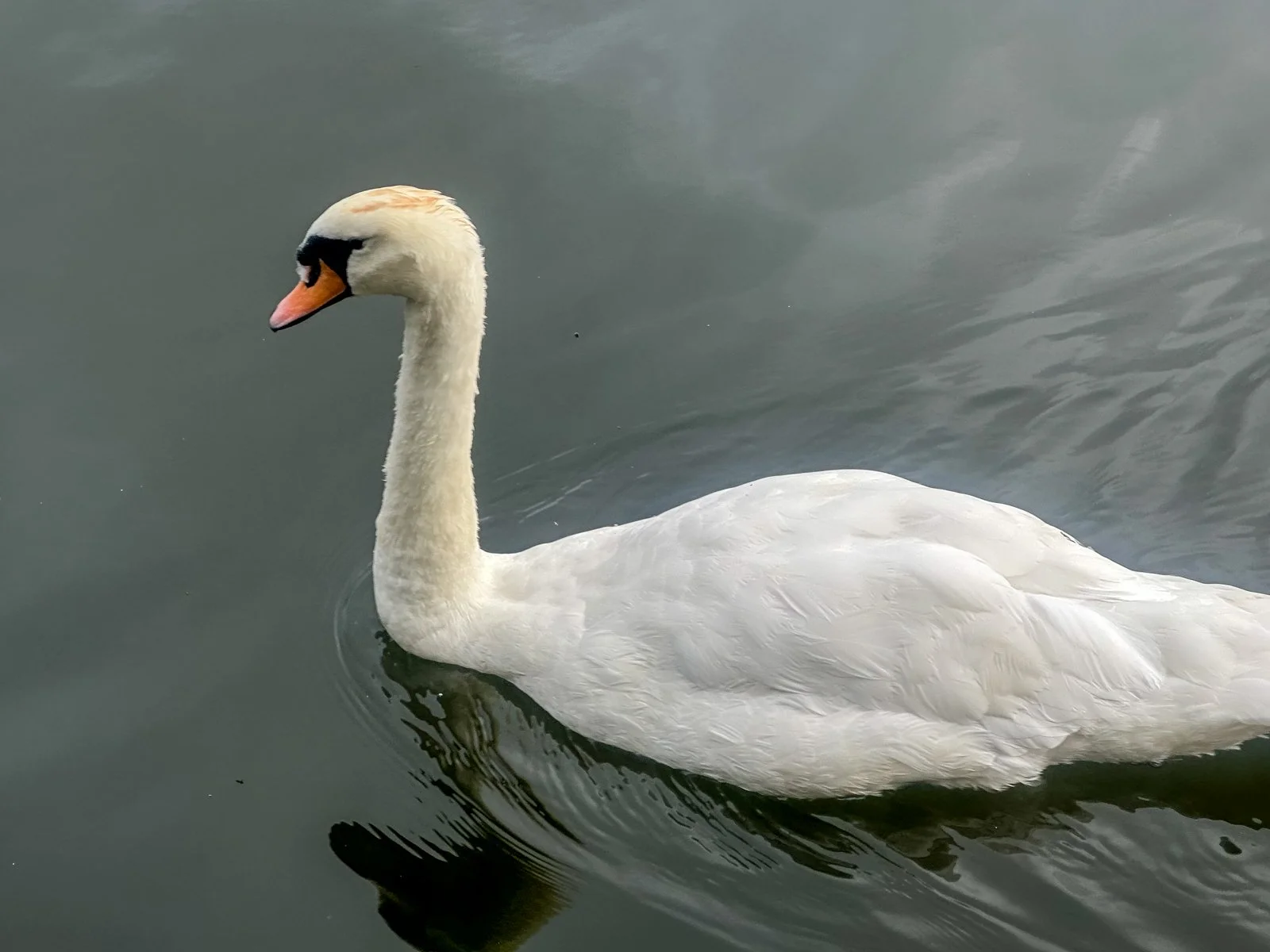 2023 FAMILY EUROPE SUMMER-59.jpg