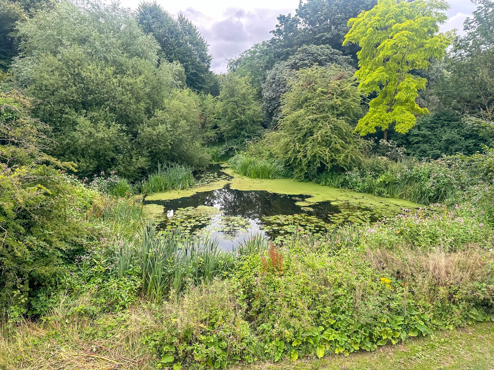 2023 FAMILY EUROPE SUMMER-64.jpg