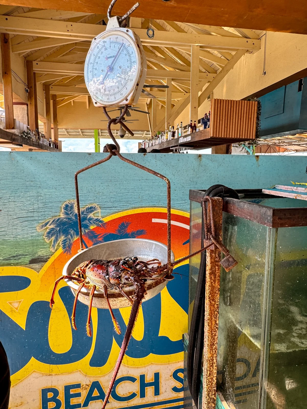 2025 ST. MAARTEN-6.jpg