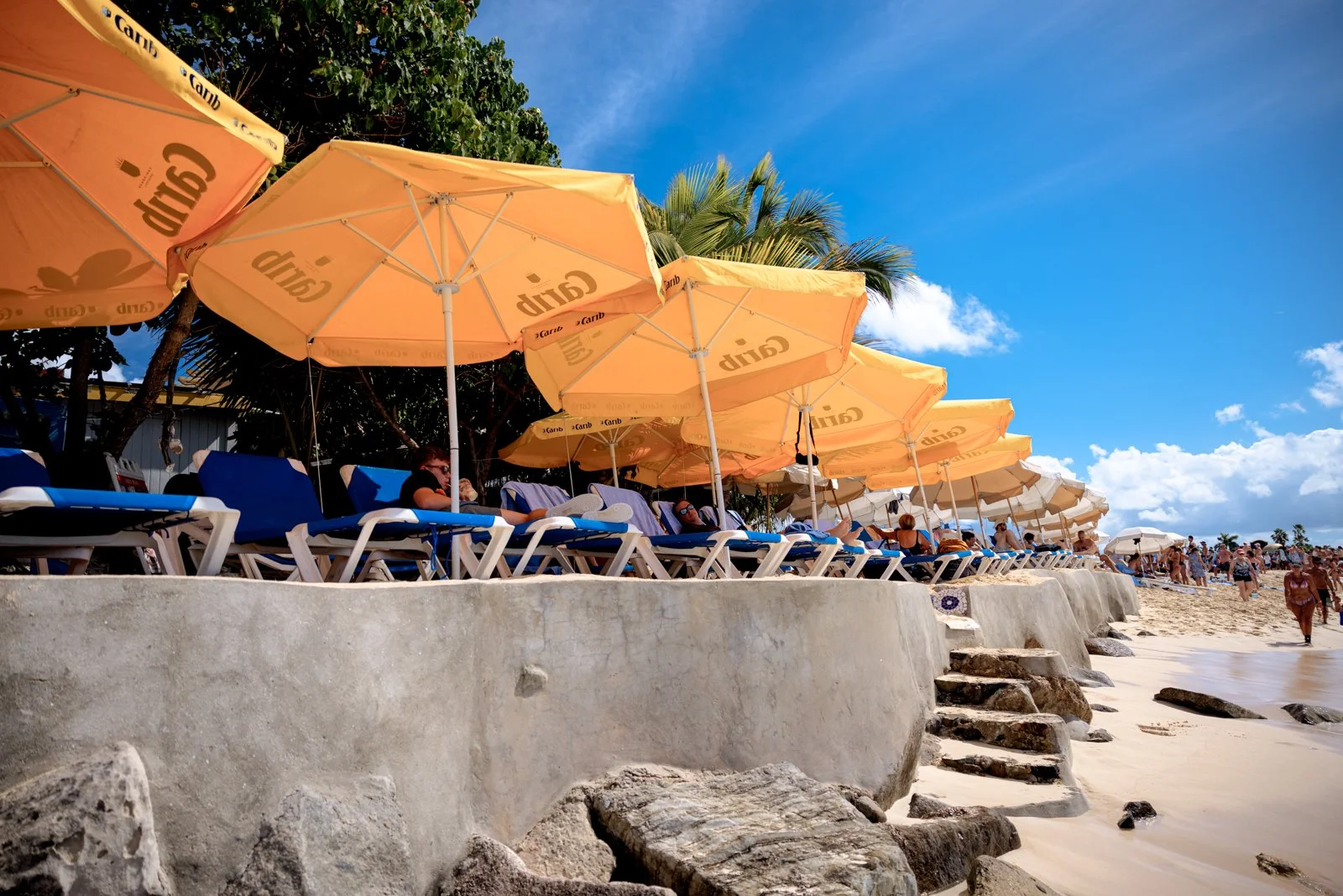 2025 ST. MAARTEN-59.jpg