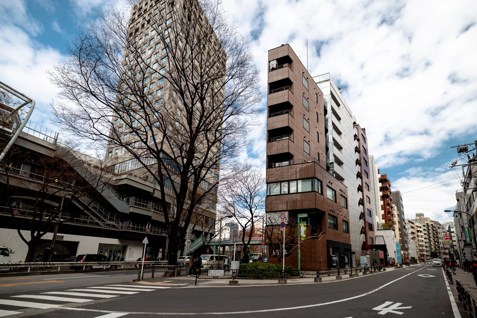 2026 JAPAN CAT STREET-2.jpg