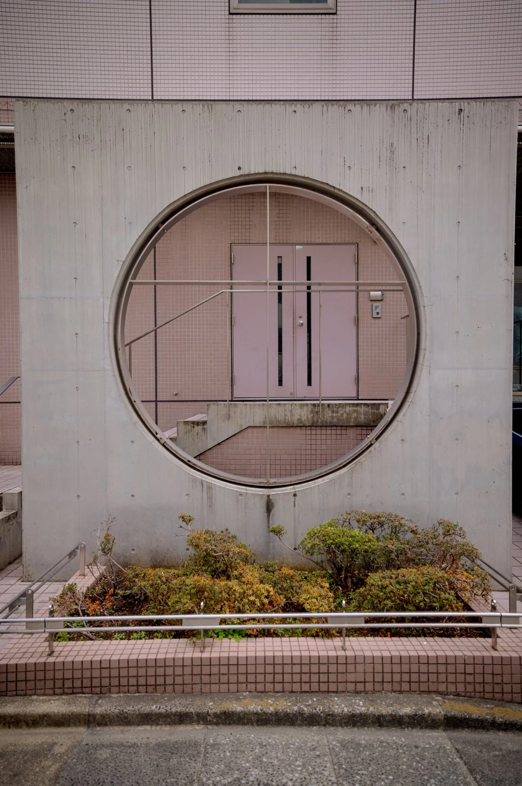 2026 JAPAN CAT STREET-4.jpg