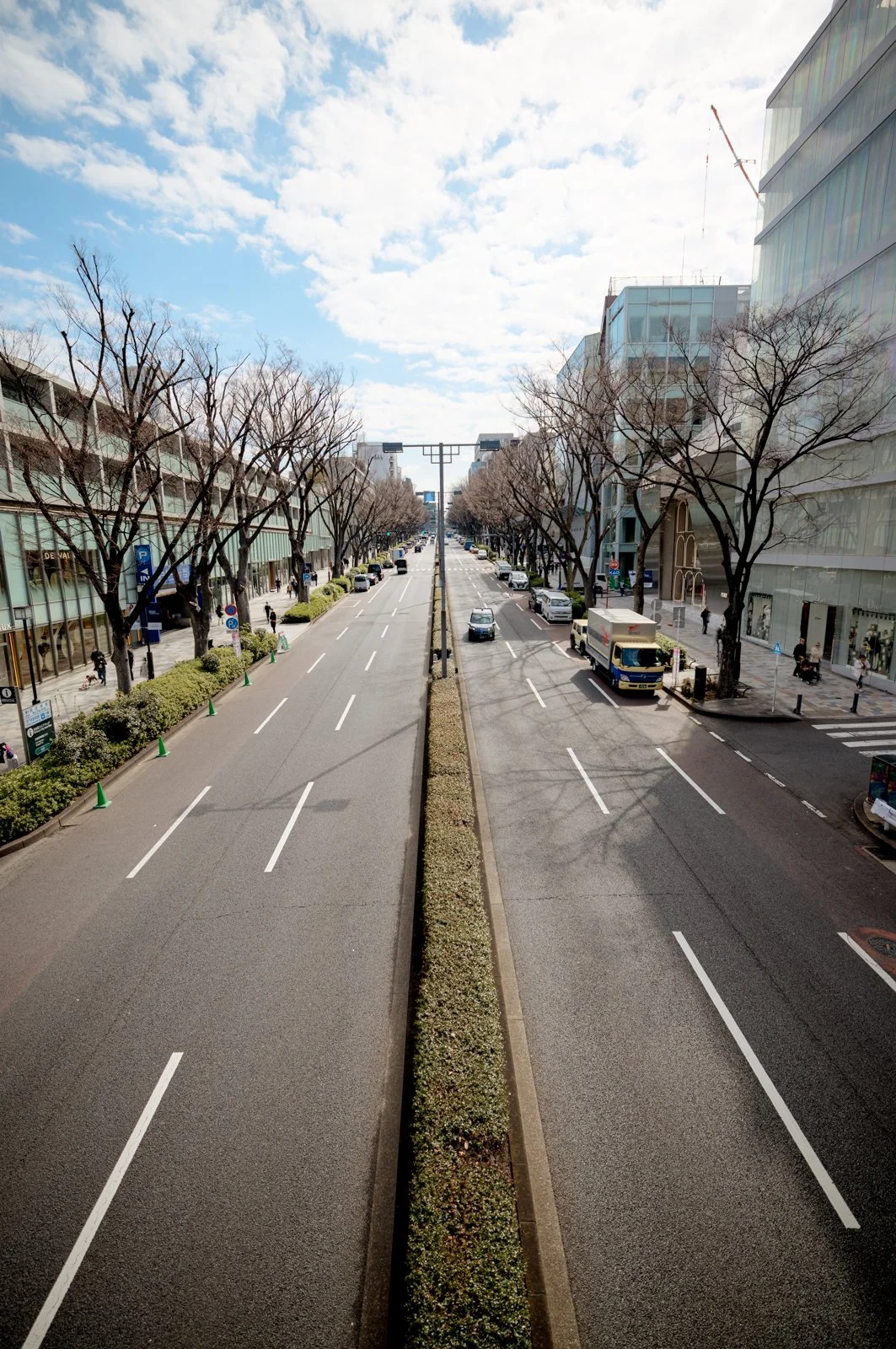 2026 JAPAN CAT STREET-12.jpg