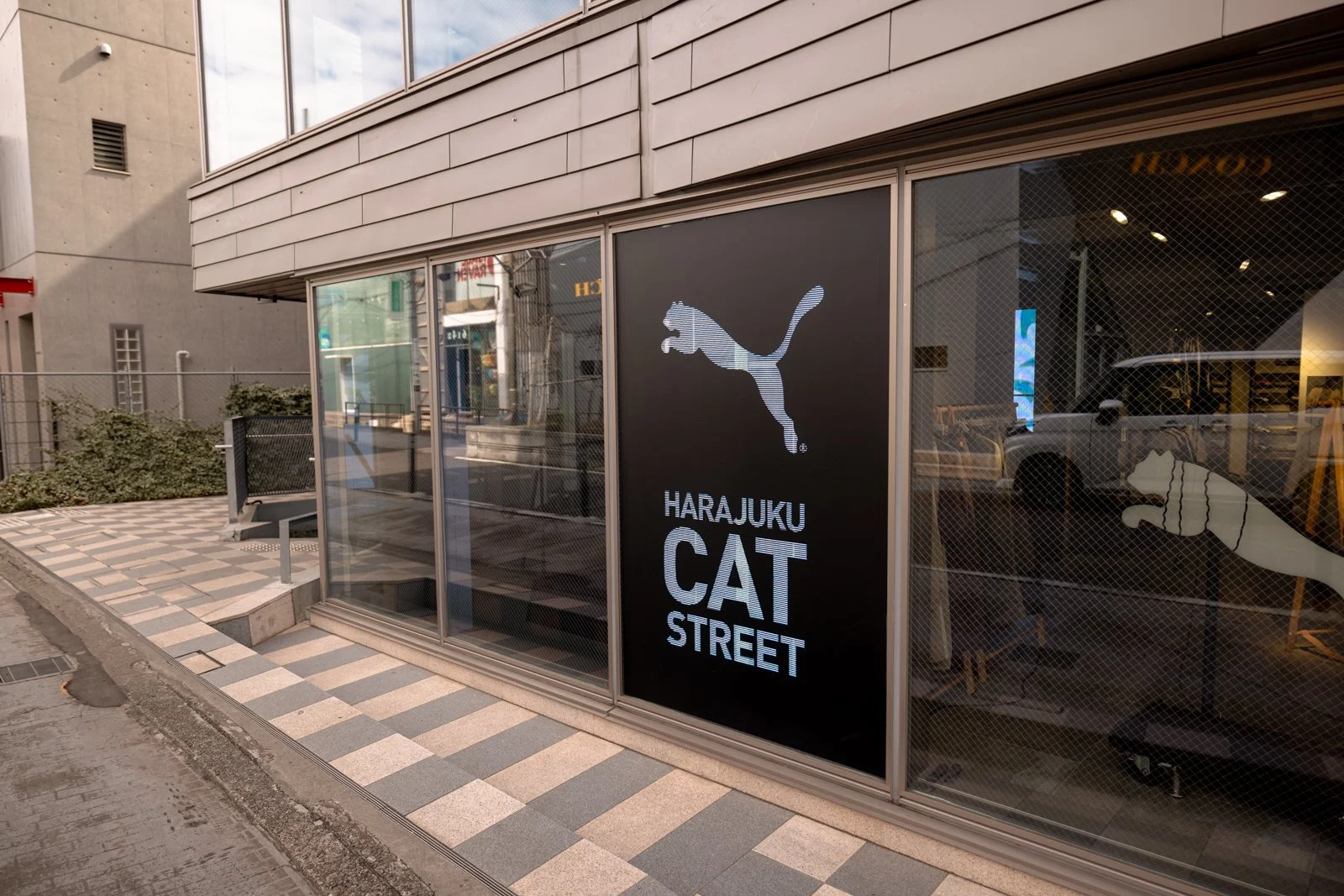 2026 JAPAN CAT STREET-8.jpg