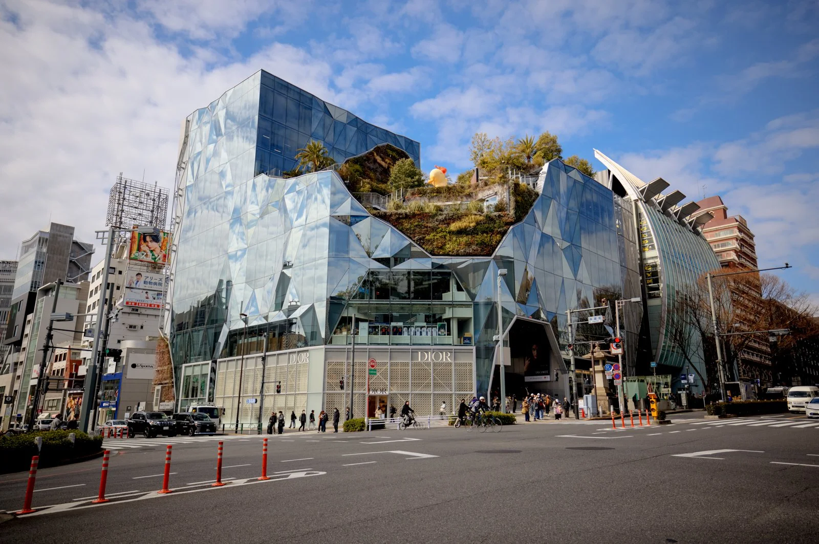 2026 JAPAN CAT STREET-13.jpg