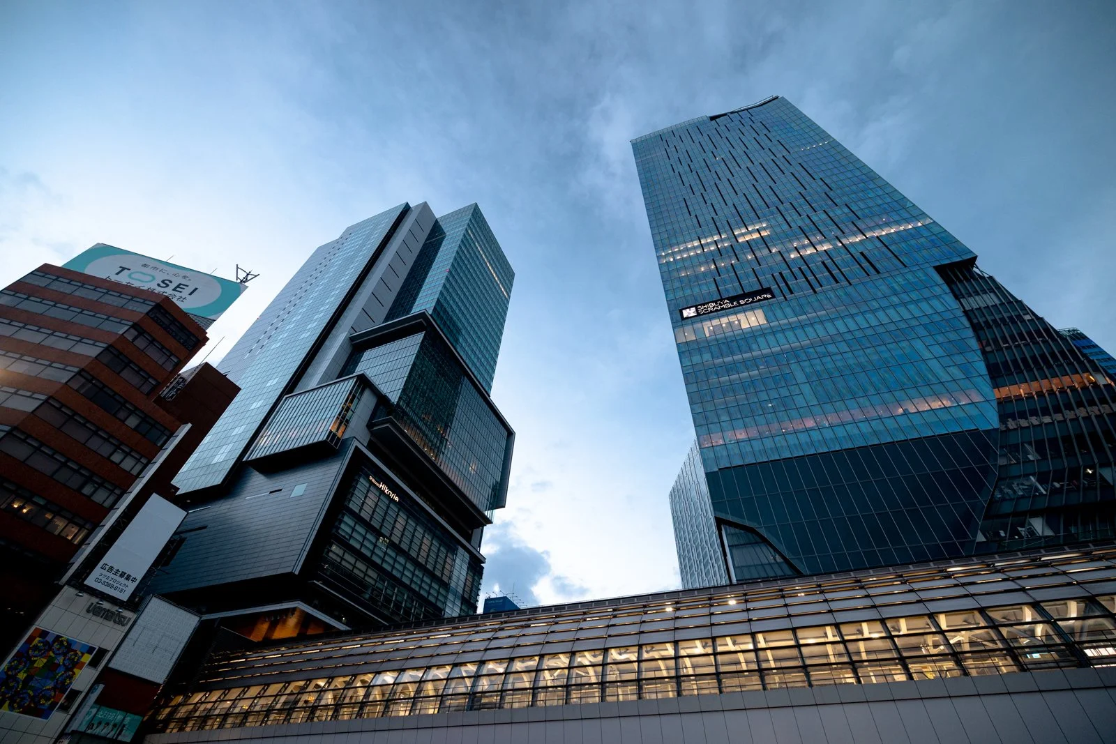 2026 JAPAN SHIBUYA-9.jpg