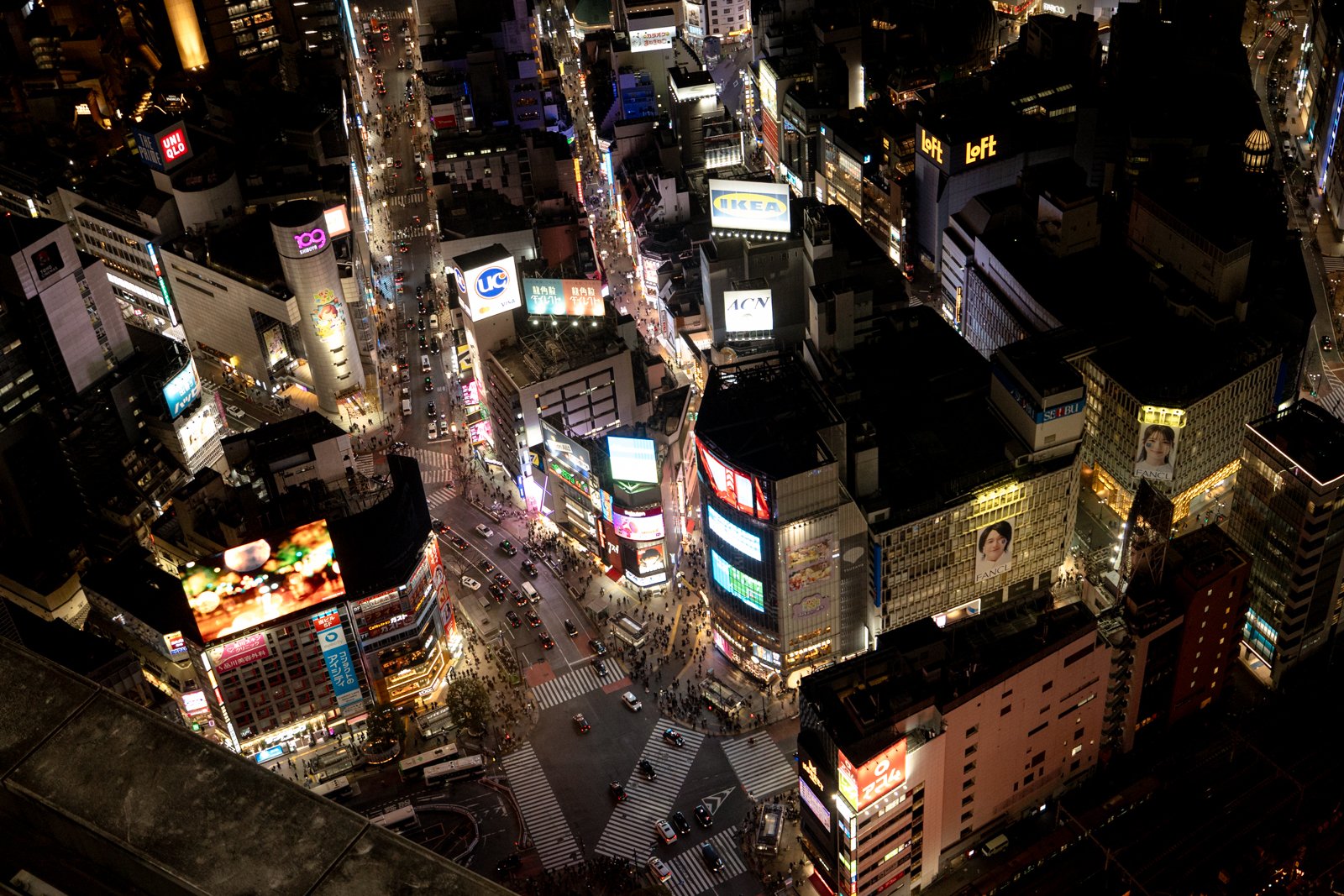 2026 JAPAN SHIBUYA-69.jpg