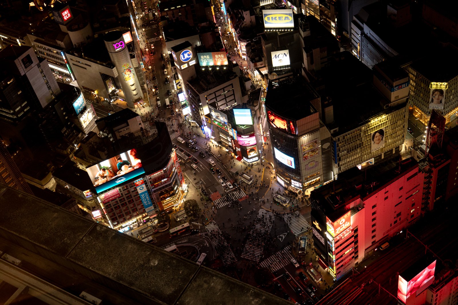 2026 JAPAN SHIBUYA-70.jpg