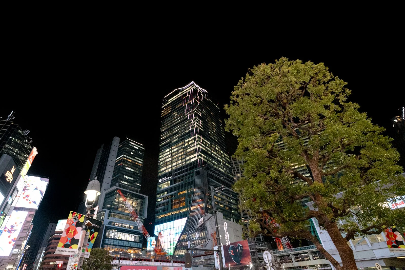 2026 JAPAN SHIBUYA-79.jpg