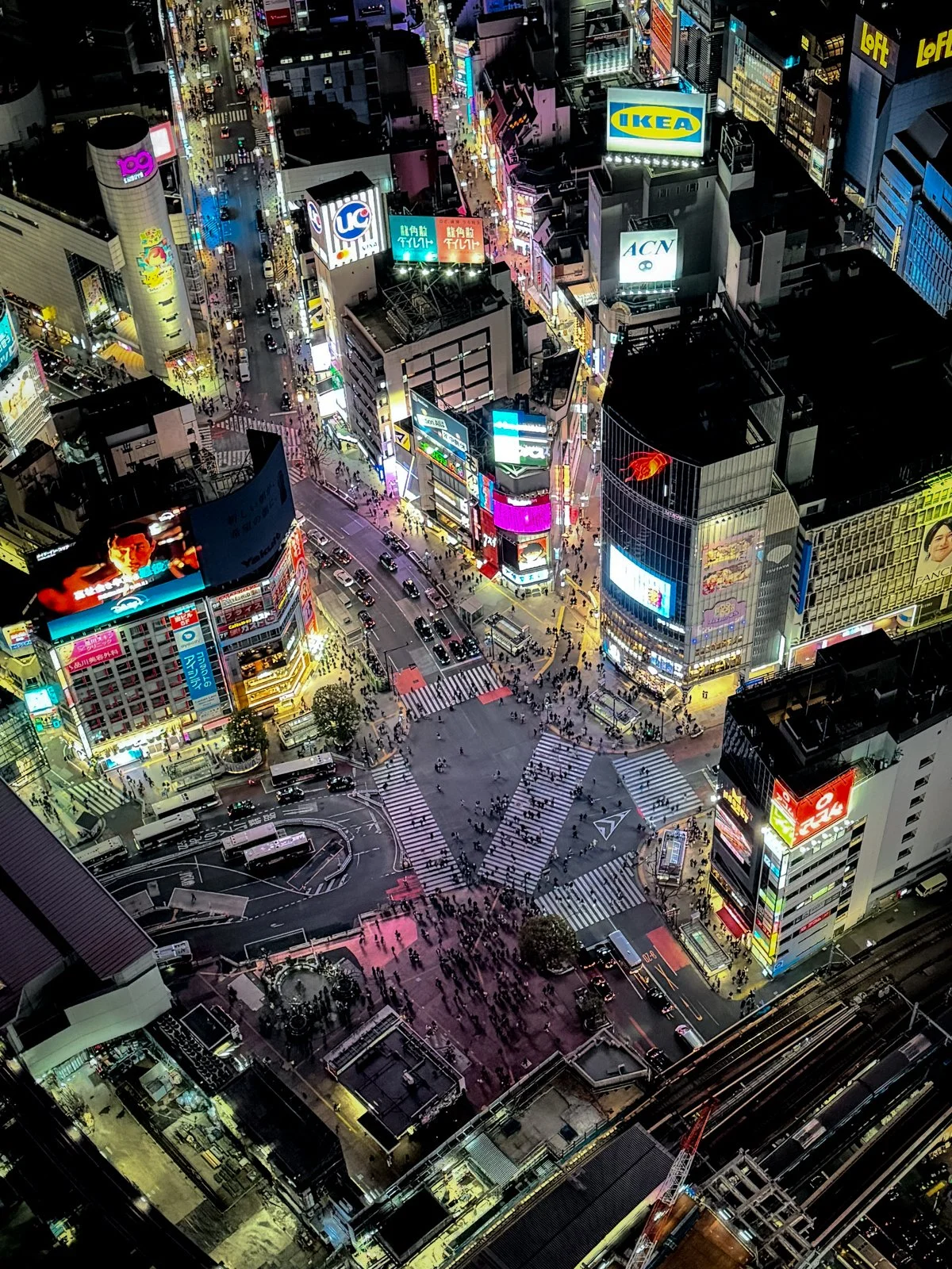 2026 JAPAN SHIBUYA-86.jpg