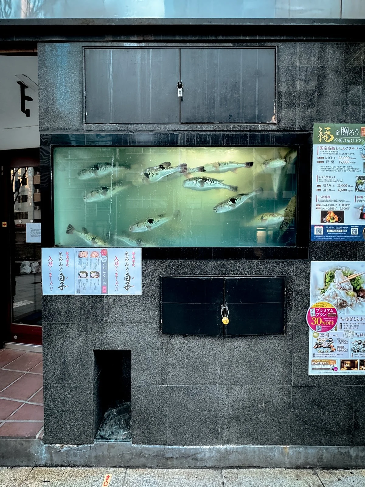 2026 JAPAN SHIBUYA-104.jpg