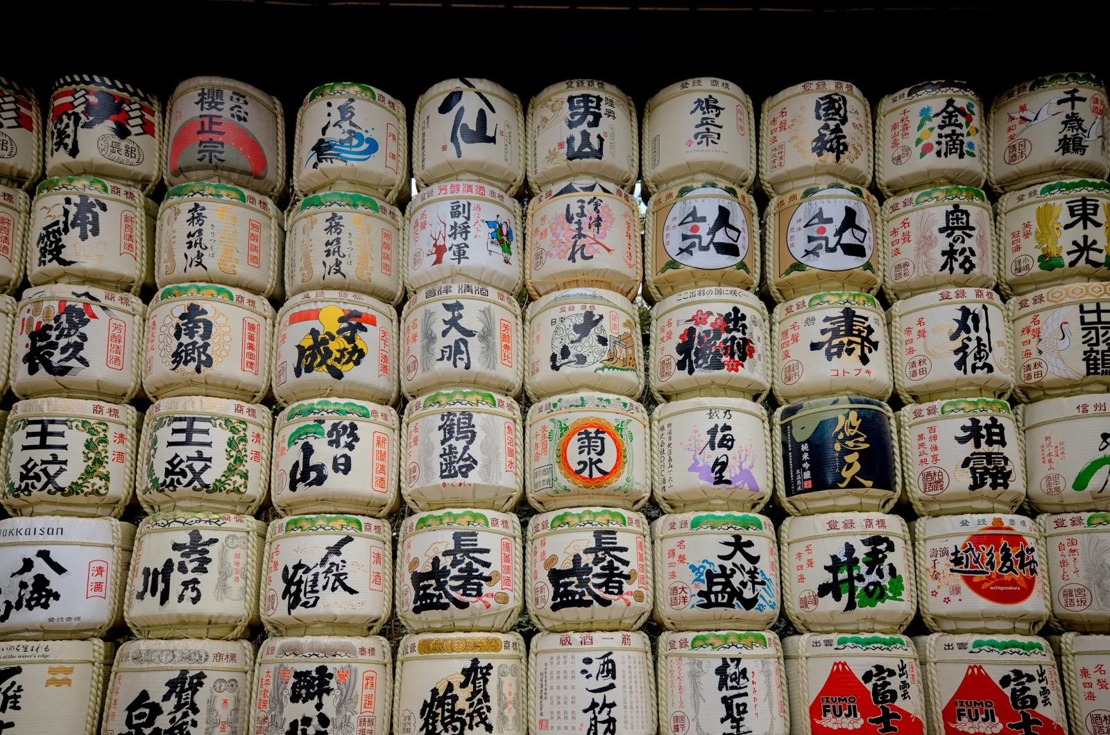 2026 JAPAN YOYOGI PARK-2.jpg