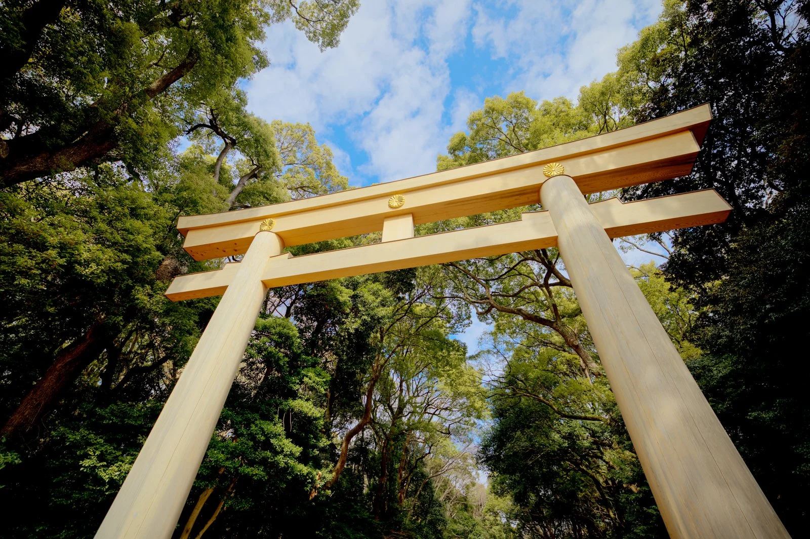 2026 JAPAN YOYOGI PARK-1.jpg