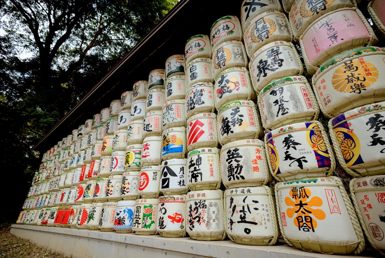 2026 JAPAN YOYOGI PARK-3.jpg