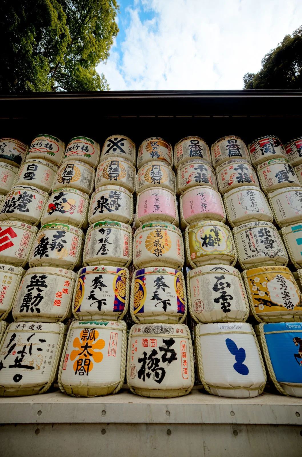 2026 JAPAN YOYOGI PARK-4.jpg