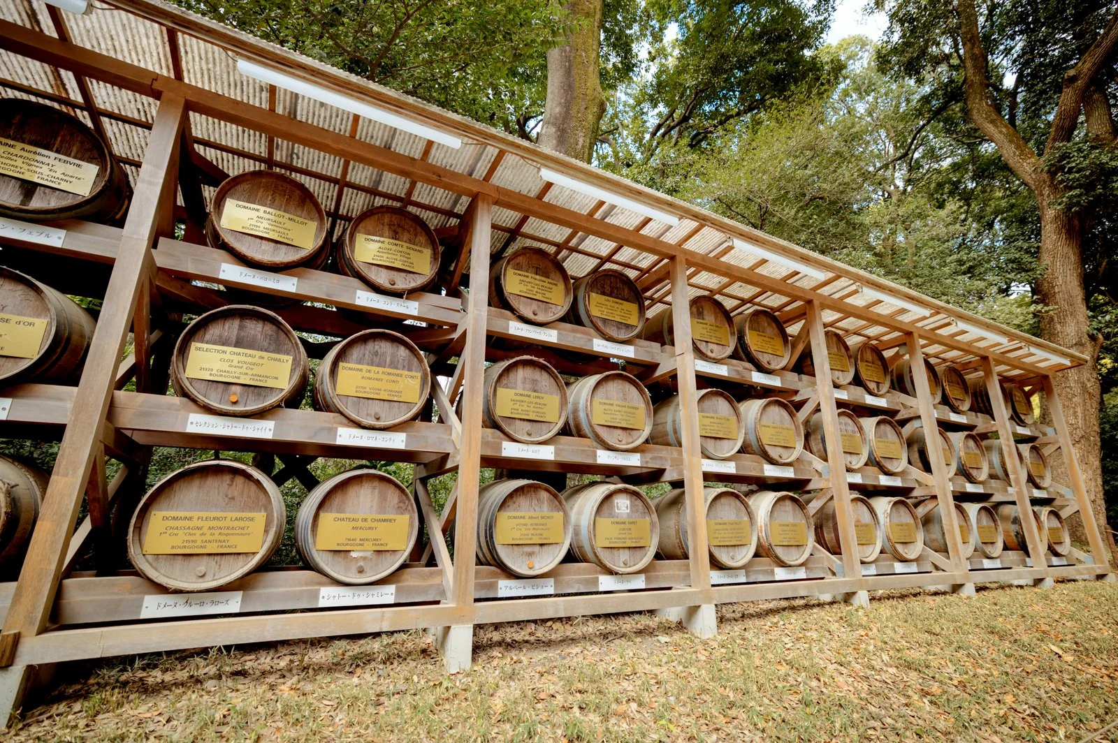 2026 JAPAN YOYOGI PARK-5.jpg