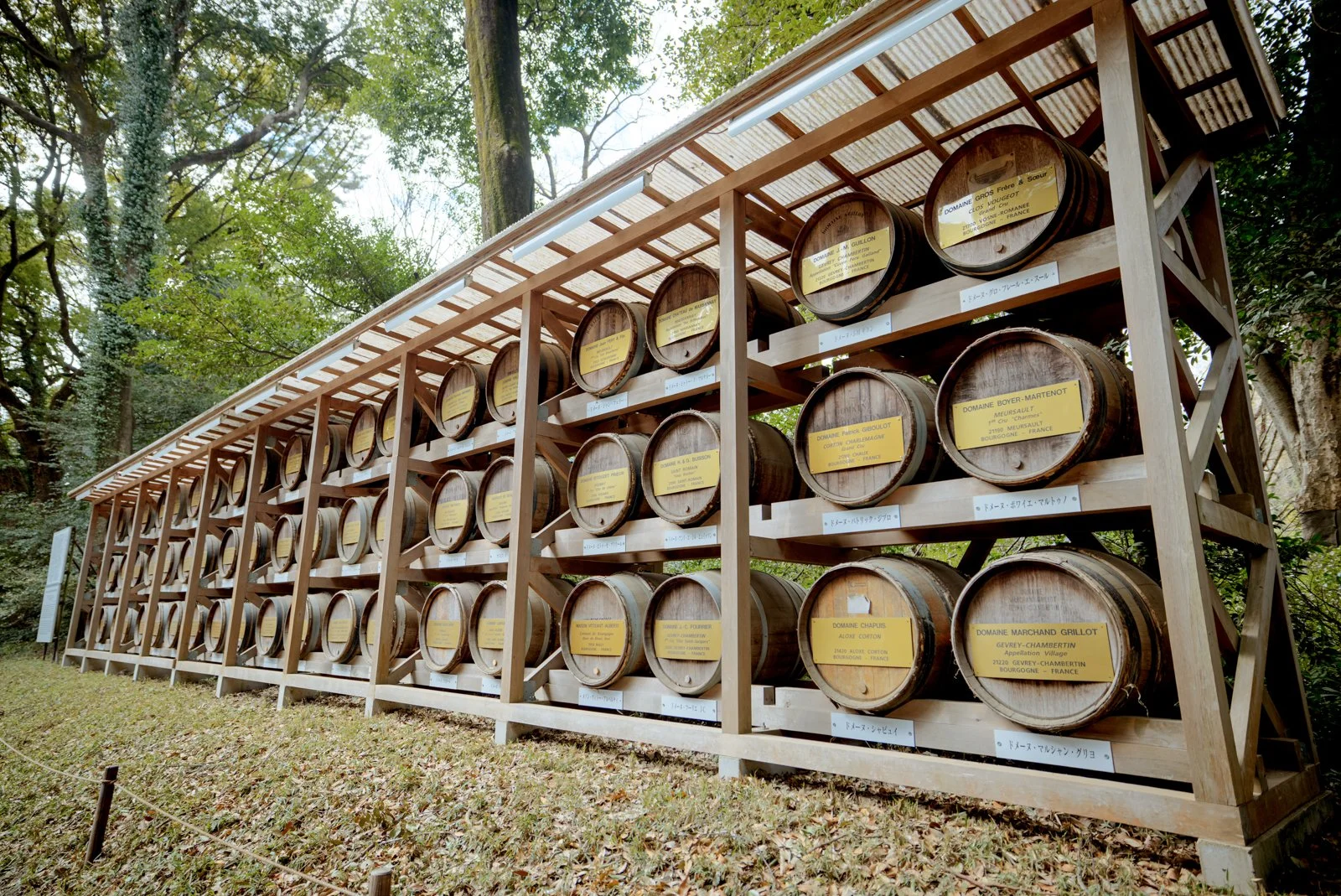 2026 JAPAN YOYOGI PARK-7.jpg