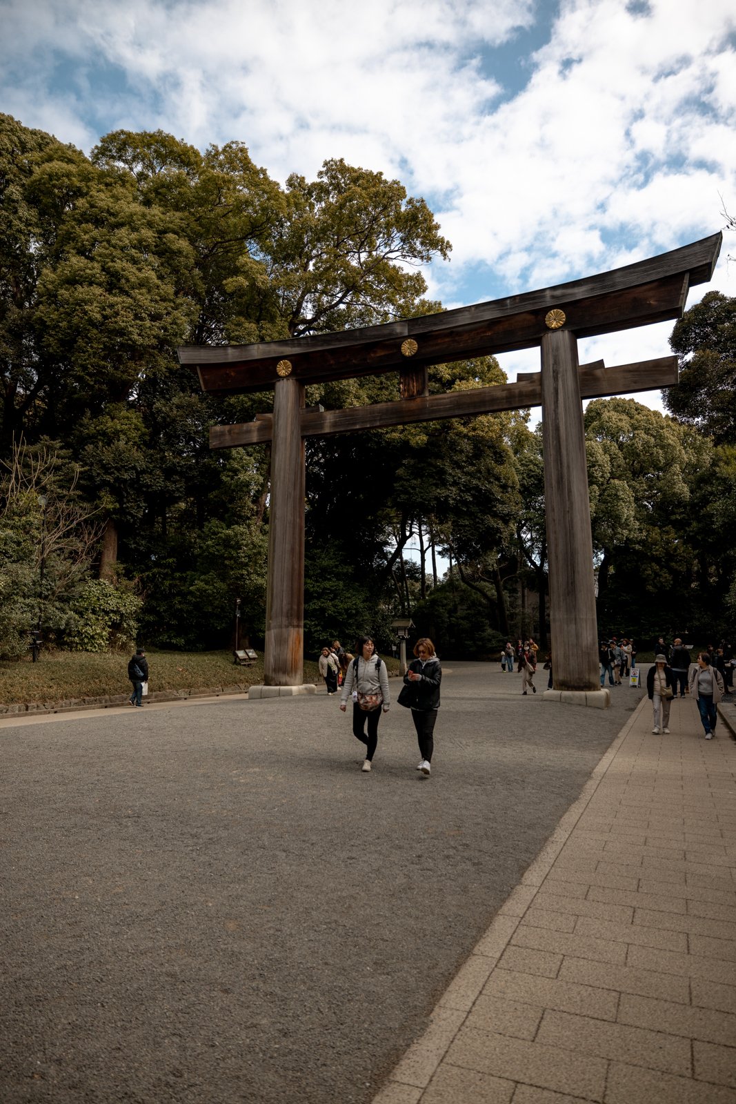 2026 JAPAN YOYOGI PARK-9.jpg