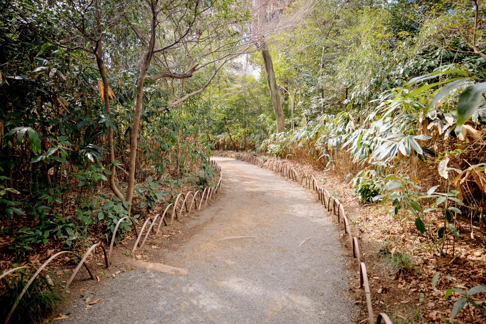 2026 JAPAN YOYOGI PARK-11.jpg