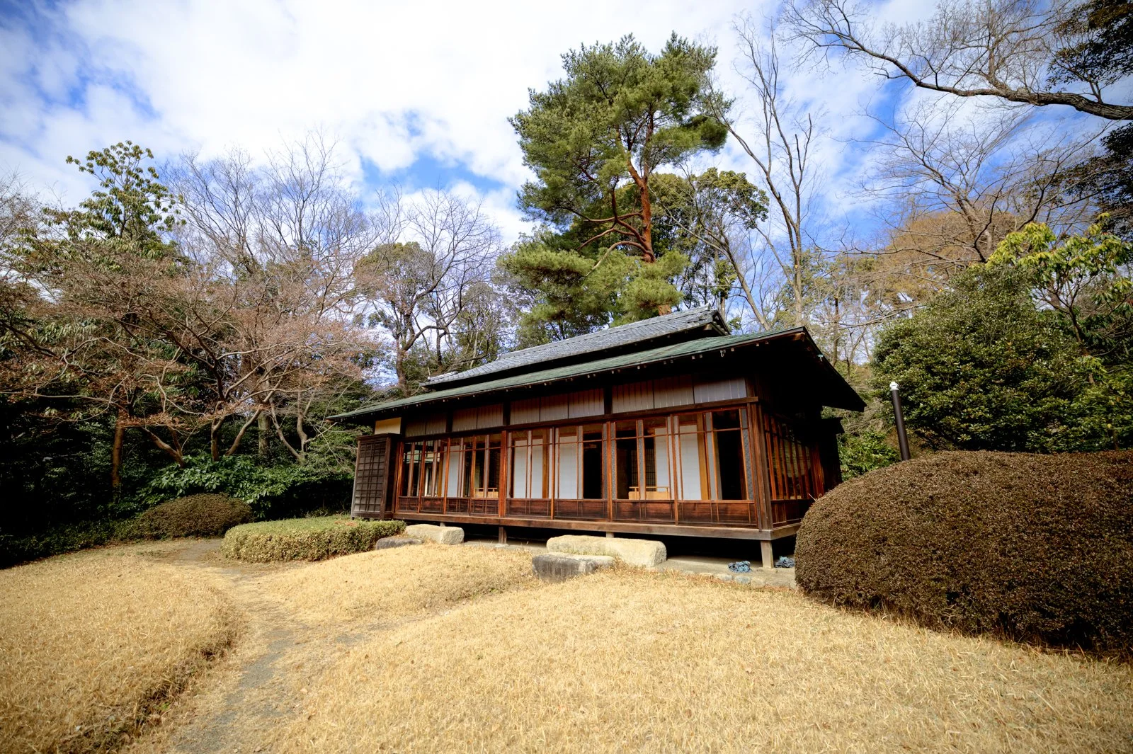 2026 JAPAN YOYOGI PARK-12.jpg