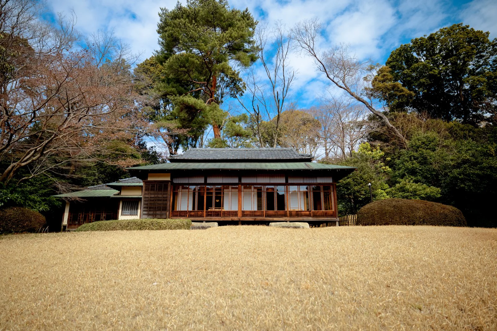 2026 JAPAN YOYOGI PARK-13.jpg