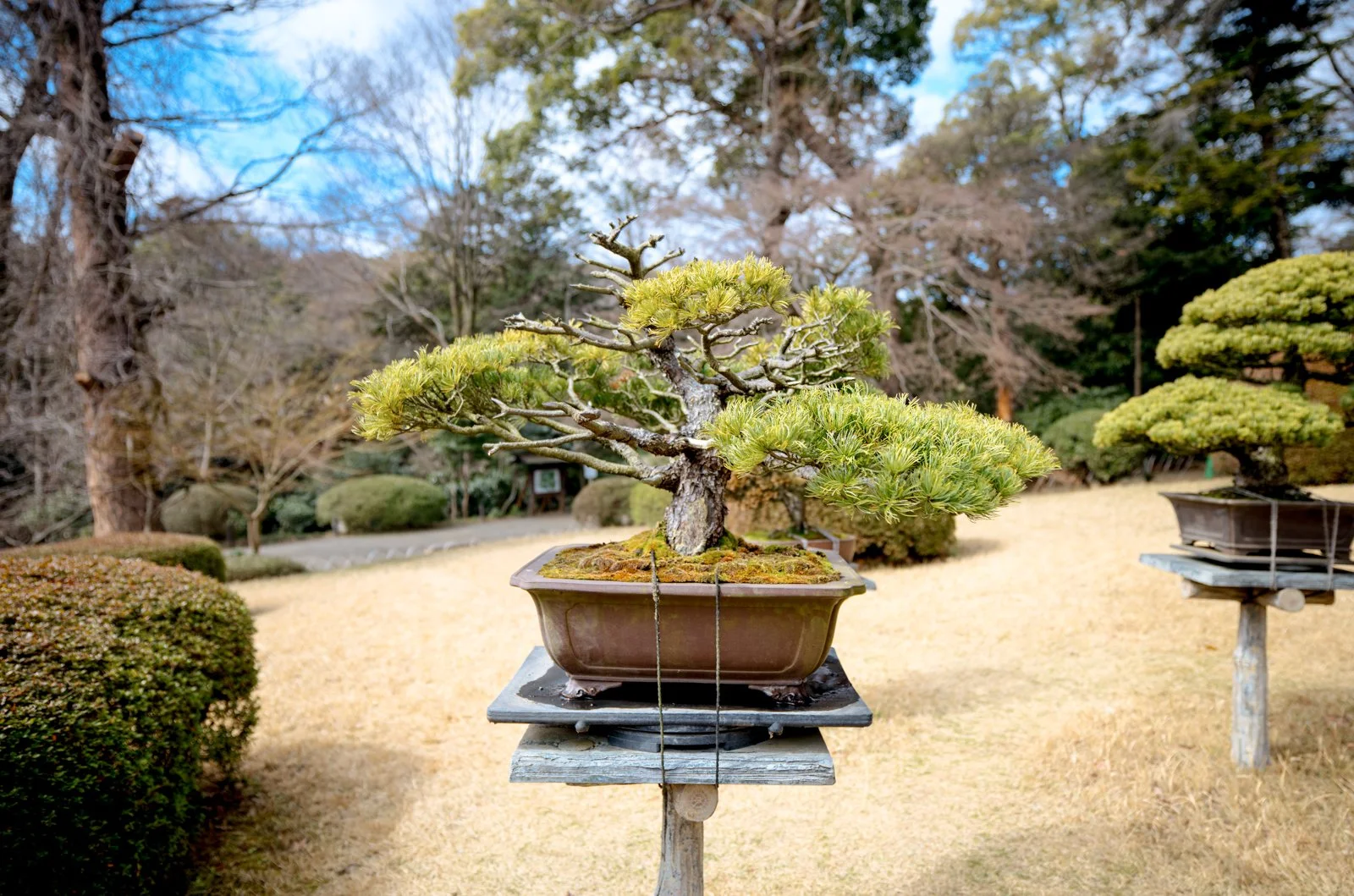 2026 JAPAN YOYOGI PARK-14.jpg