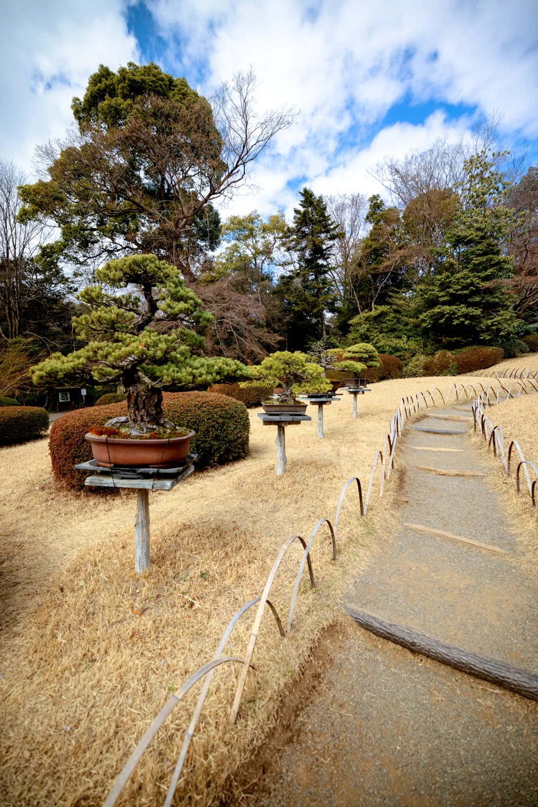 2026 JAPAN YOYOGI PARK-15.jpg