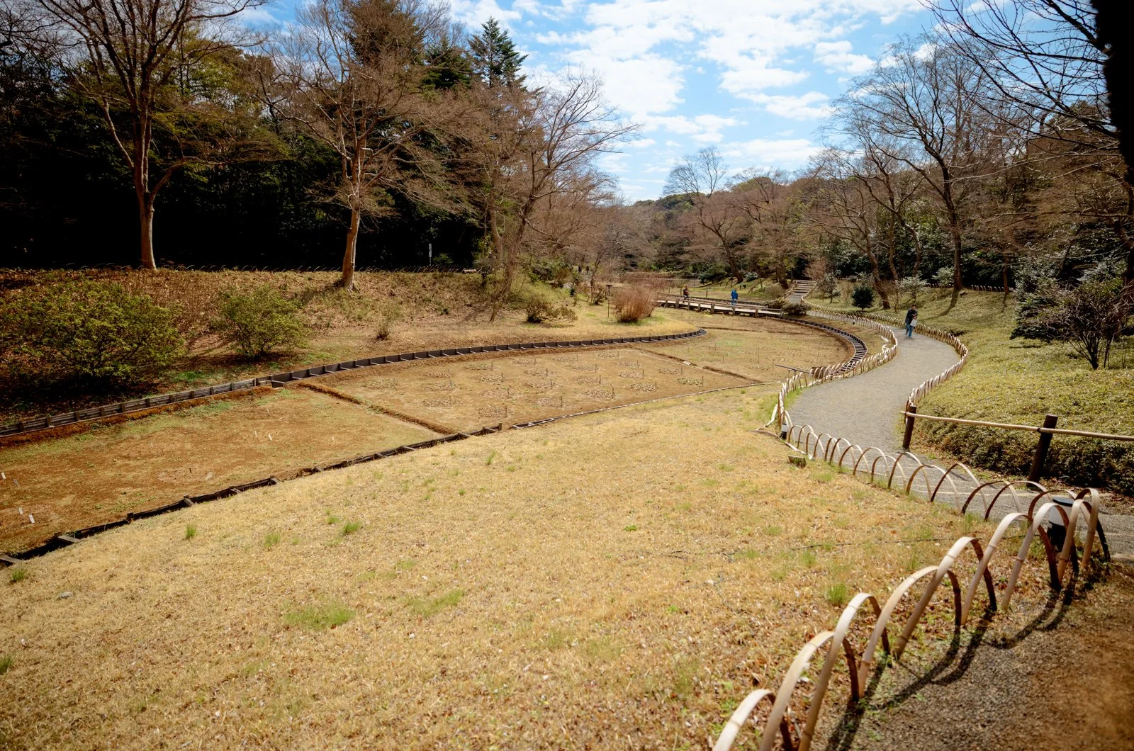 2026 JAPAN YOYOGI PARK-16.jpg