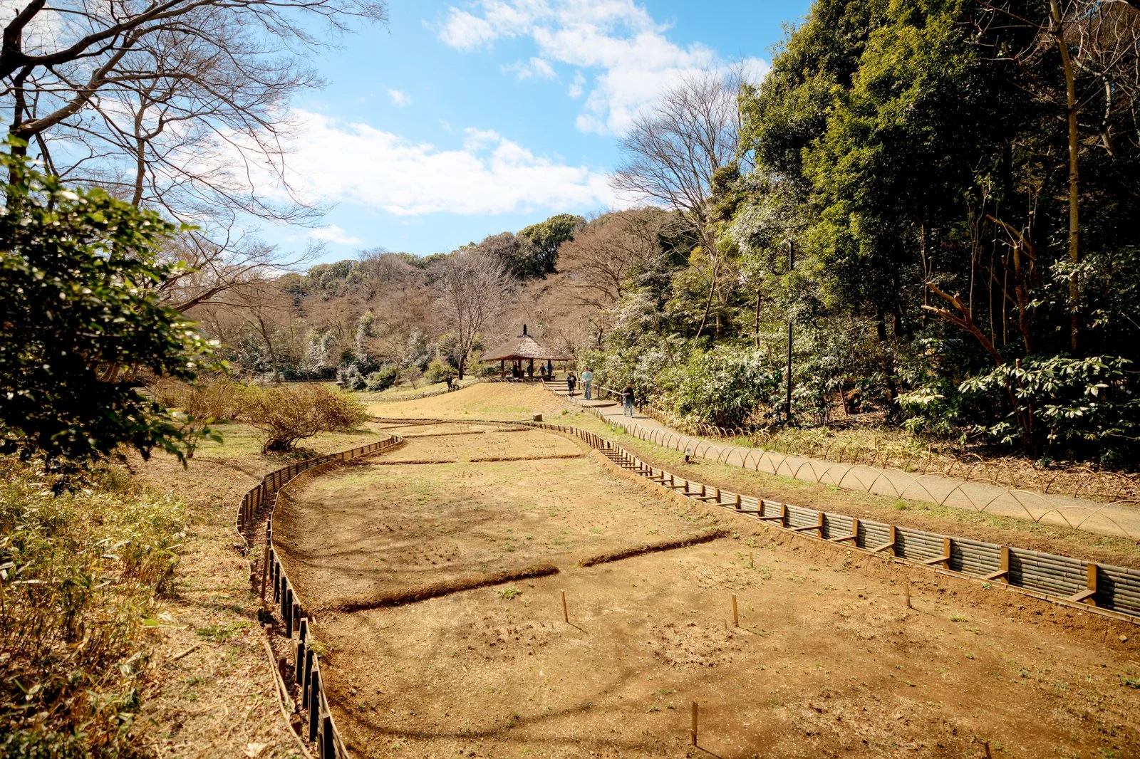2026 JAPAN YOYOGI PARK-17.jpg
