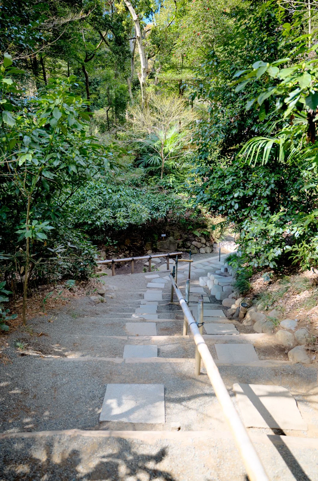 2026 JAPAN YOYOGI PARK-18.jpg