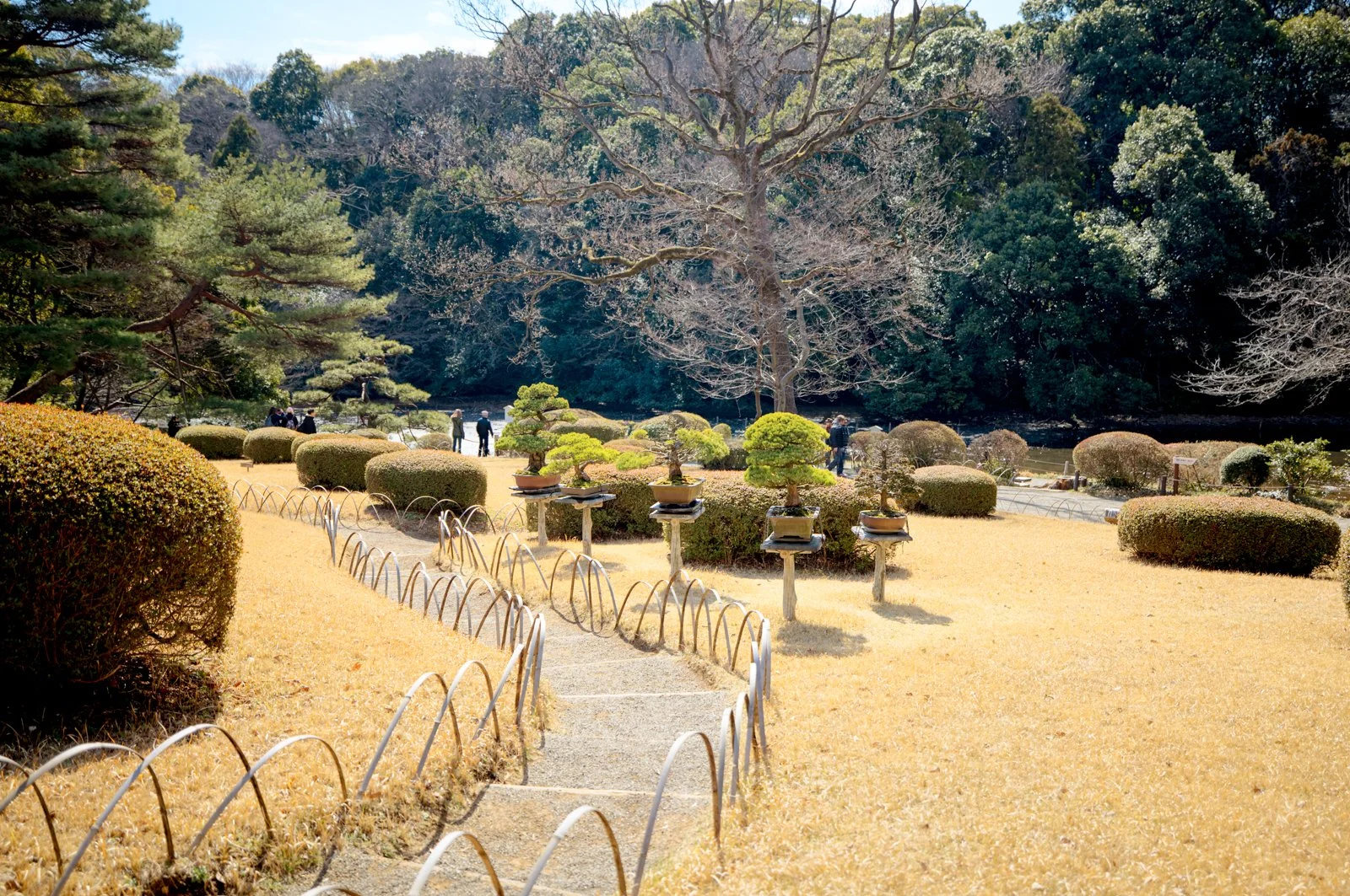 2026 JAPAN YOYOGI PARK-19.jpg