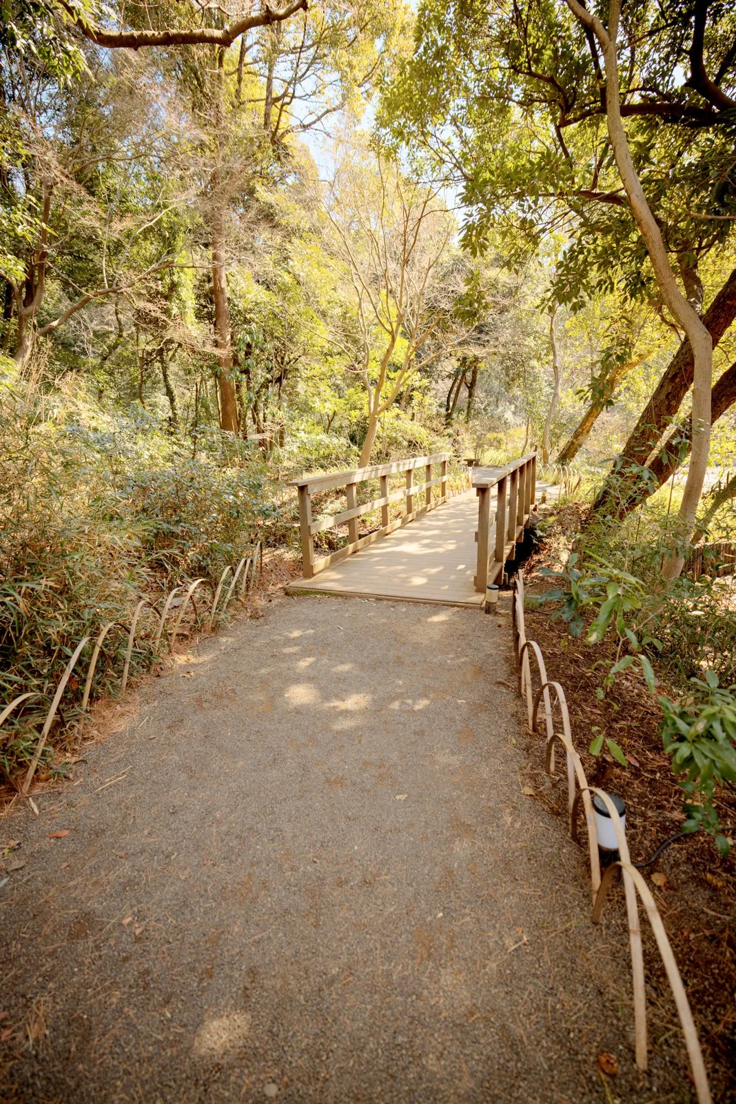 2026 JAPAN YOYOGI PARK-22.jpg