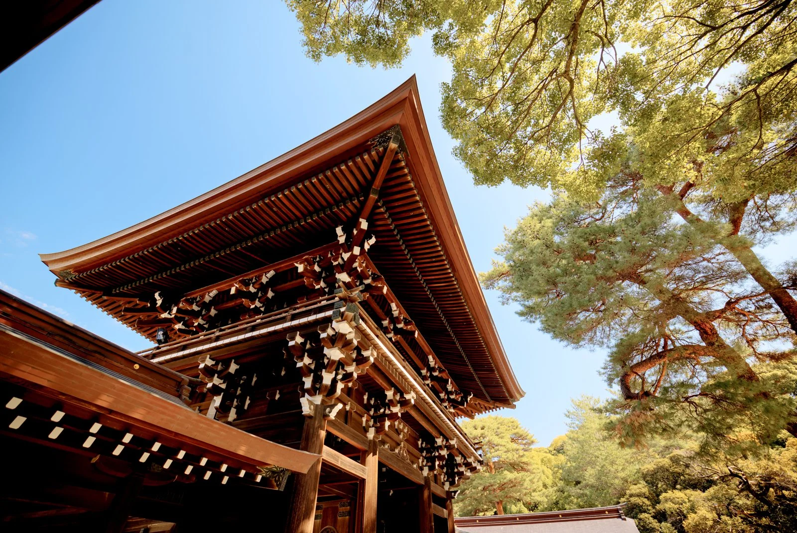 2026 JAPAN YOYOGI PARK-24.jpg