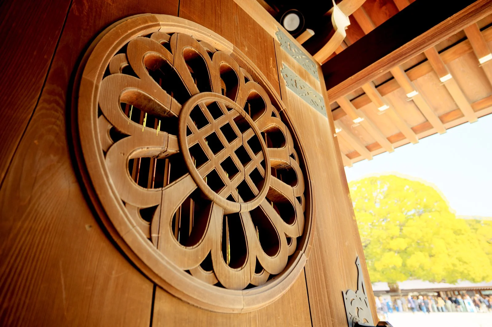 2026 JAPAN YOYOGI PARK-25.jpg