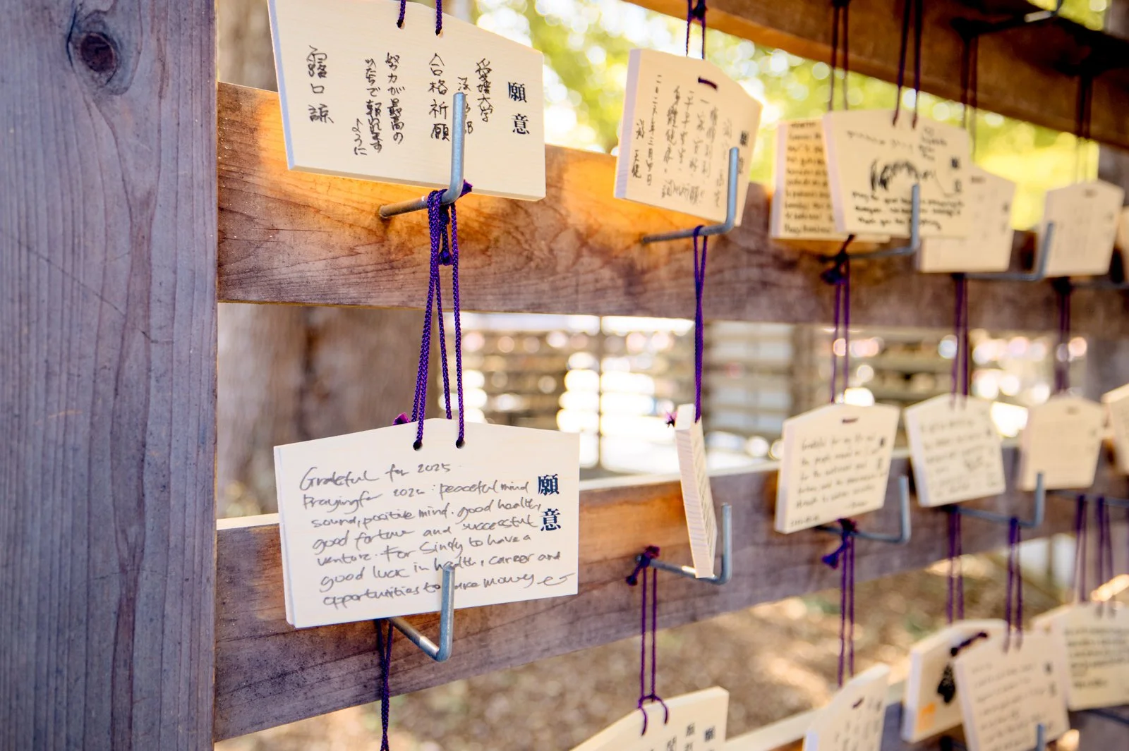 2026 JAPAN YOYOGI PARK-26.jpg