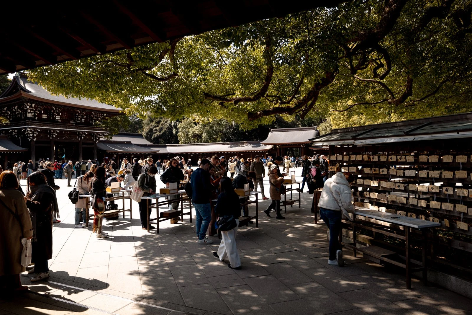 2026 JAPAN YOYOGI PARK-27.jpg