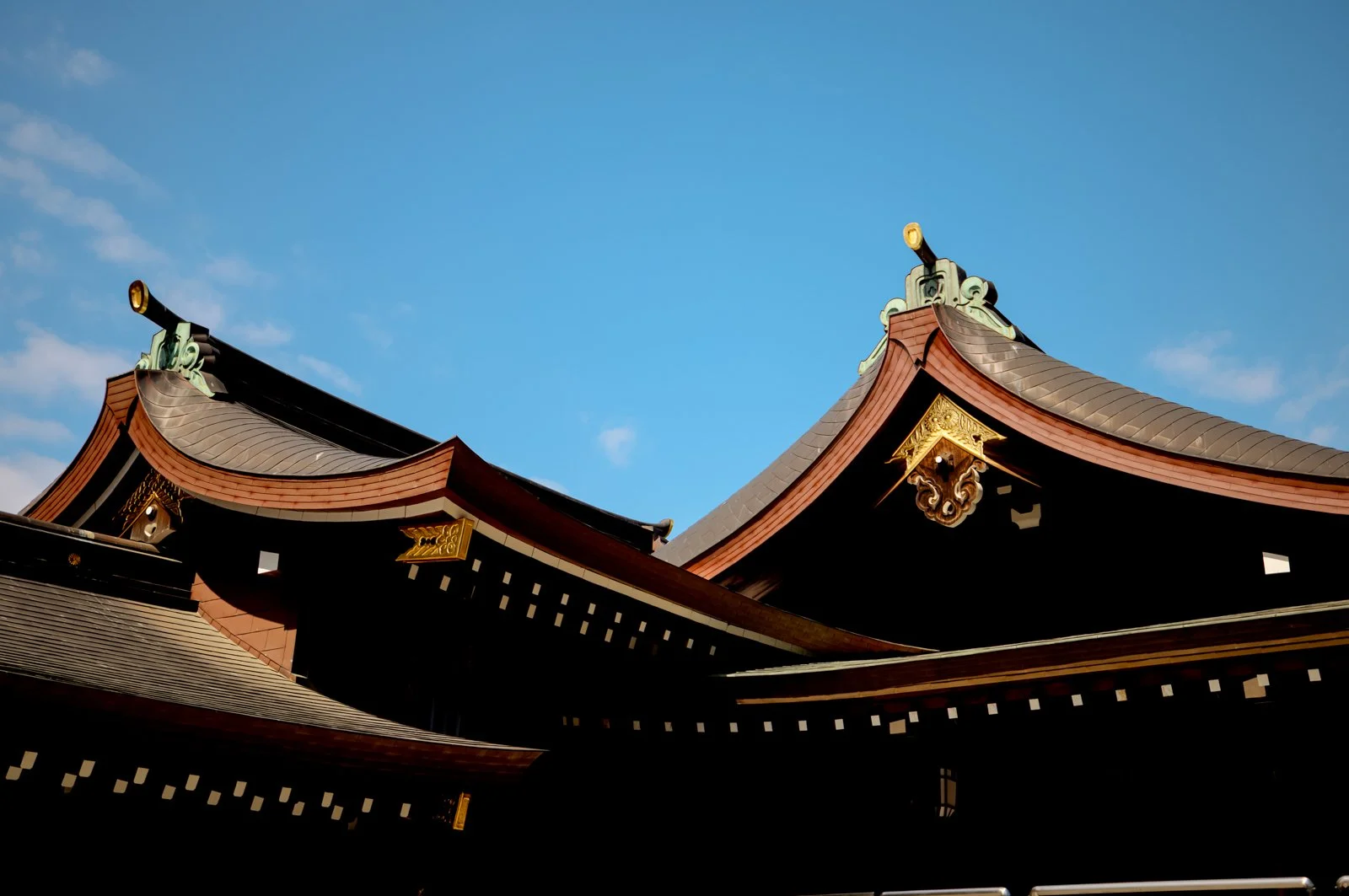 2026 JAPAN YOYOGI PARK-28.jpg