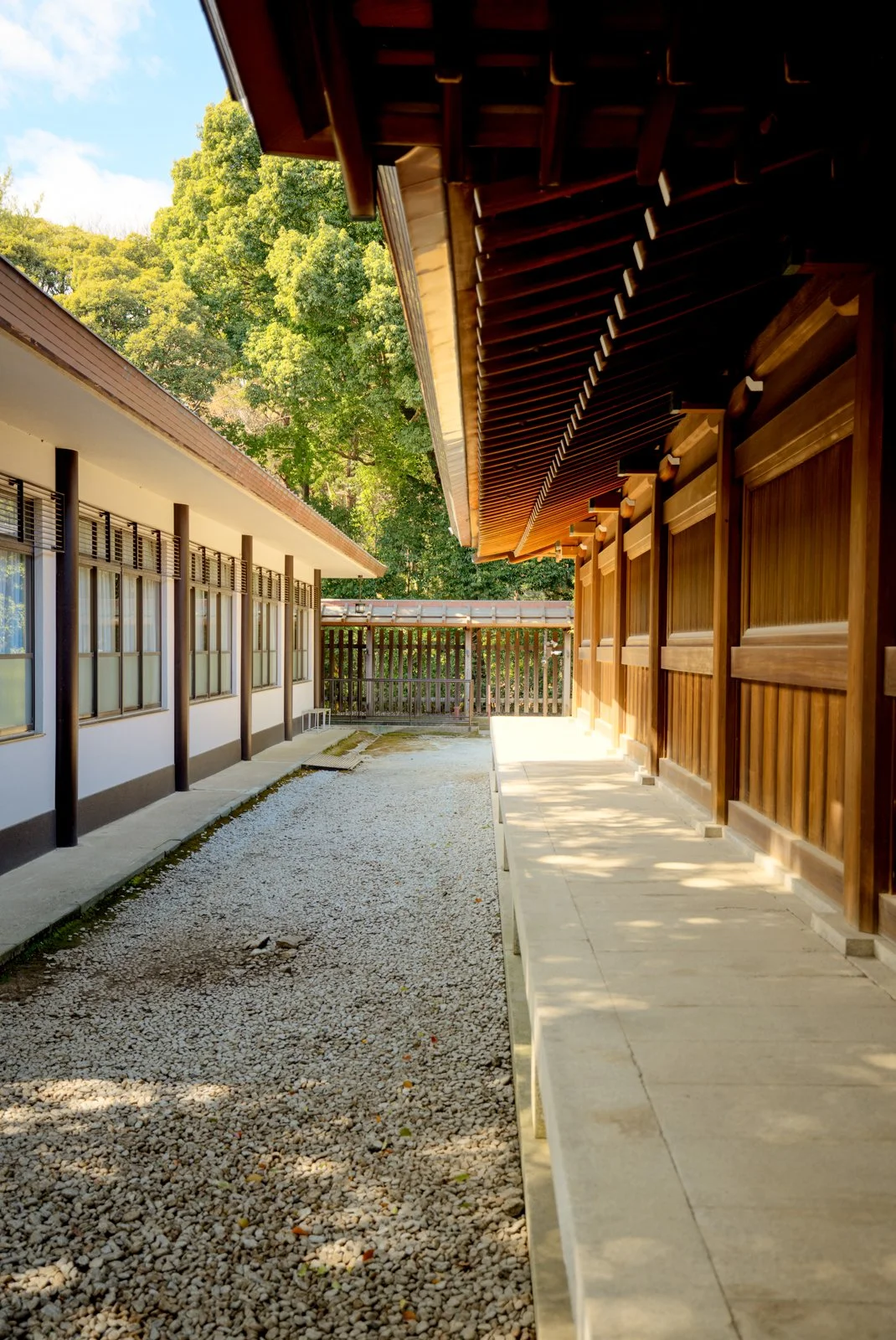 2026 JAPAN YOYOGI PARK-23.jpg