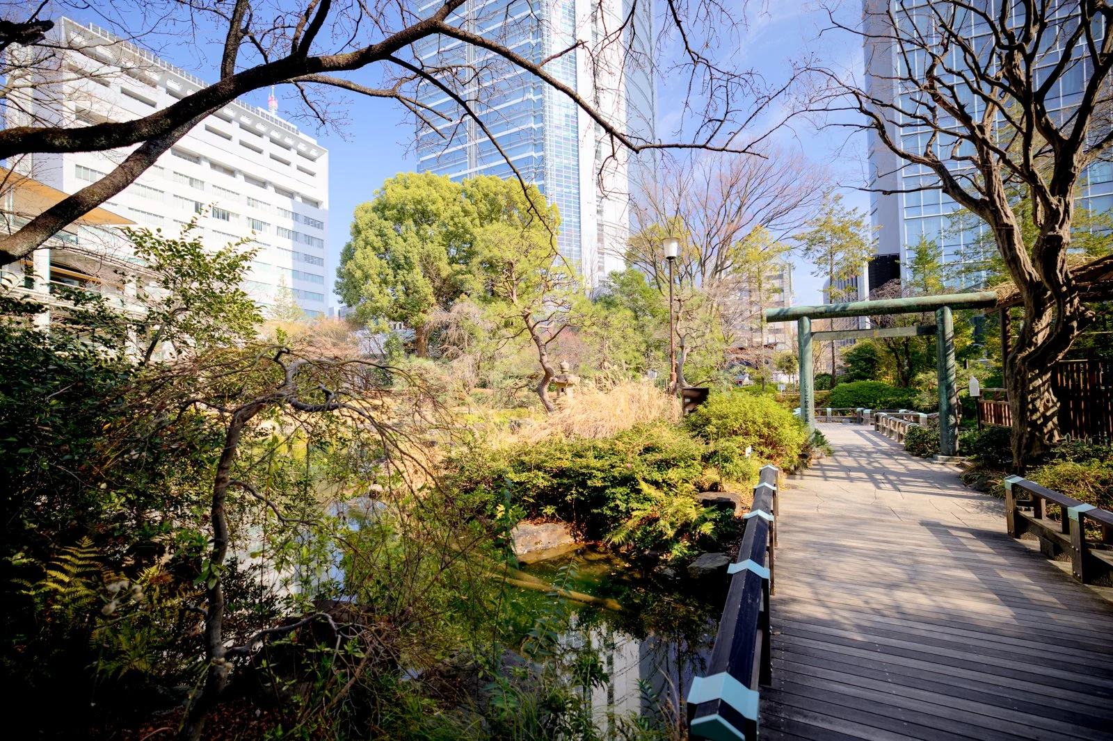 2026 JAPAN HARAJUKU-10.jpg