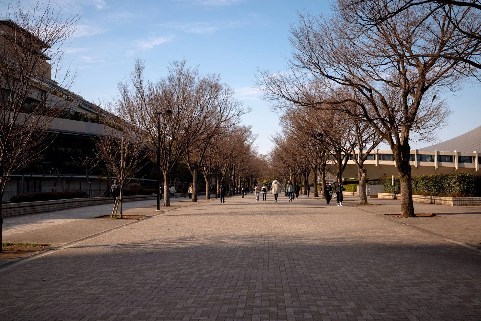 2026 JAPAN YOYOGI STADIUM-8.jpg