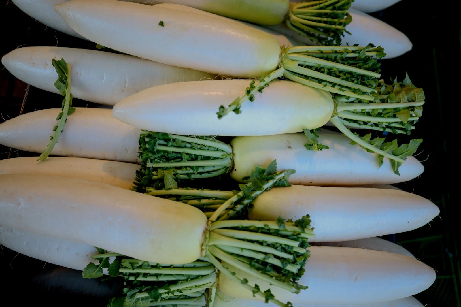 2026 JAPAN KAMAKURA STREETSCAPES-16.jpg