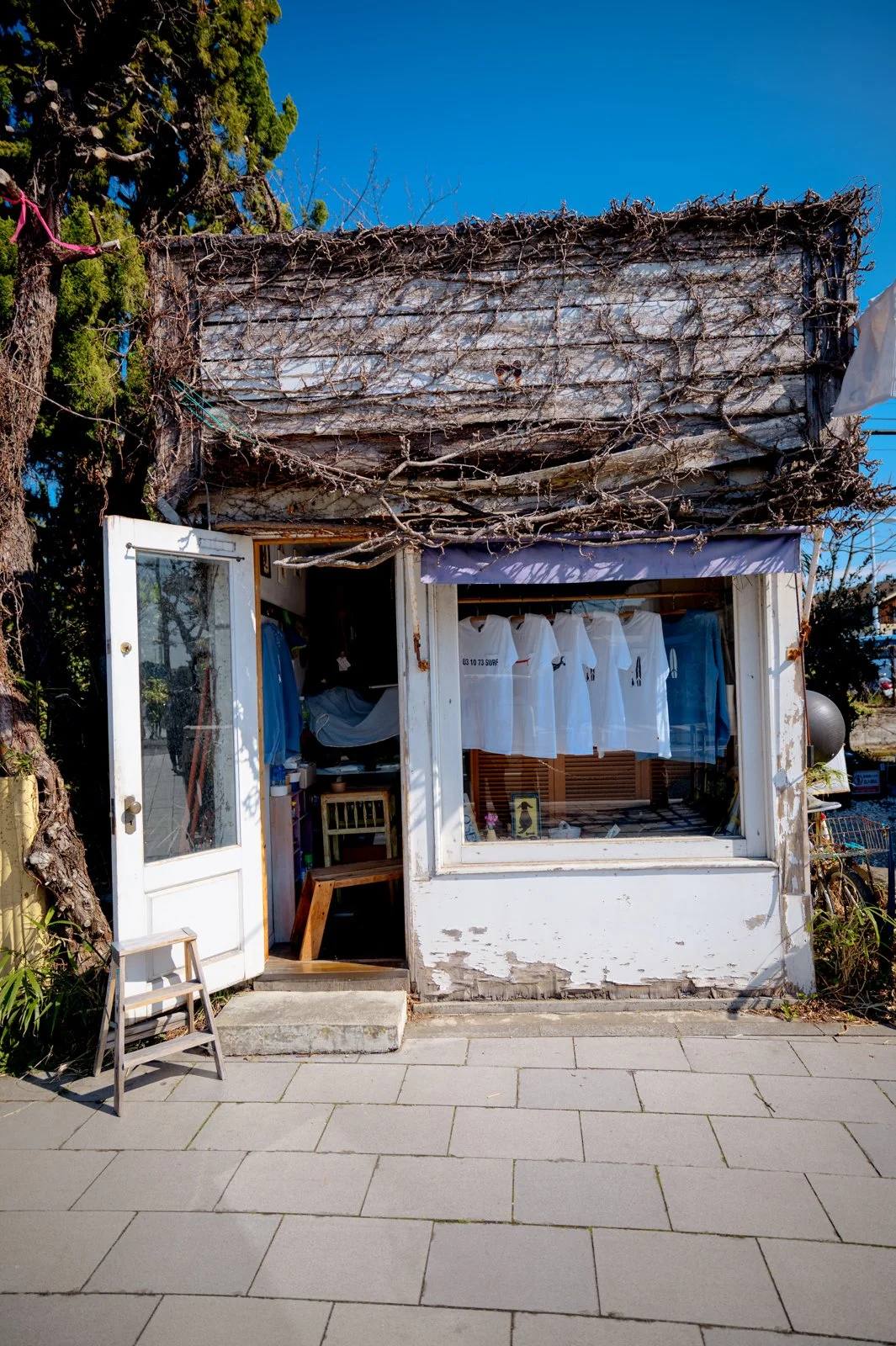 2026 JAPAN KAMAKURA STREETSCAPES-17.jpg