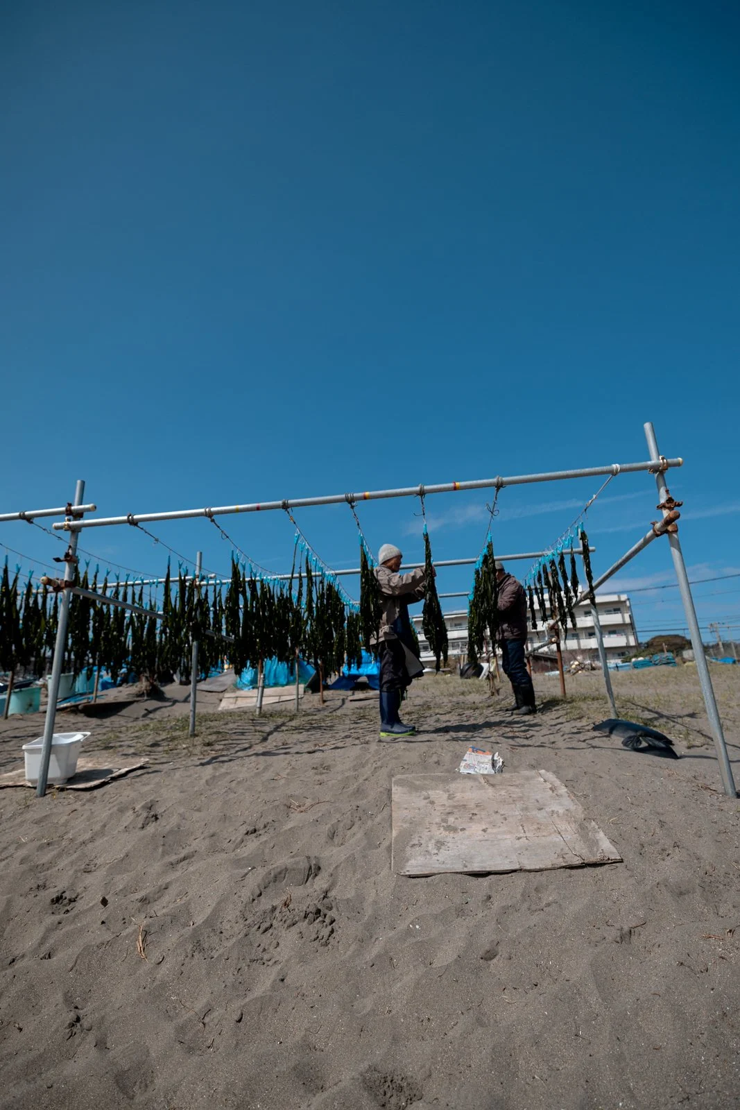 2026 JAPAN KAMAKURA BEACH-4.jpg
