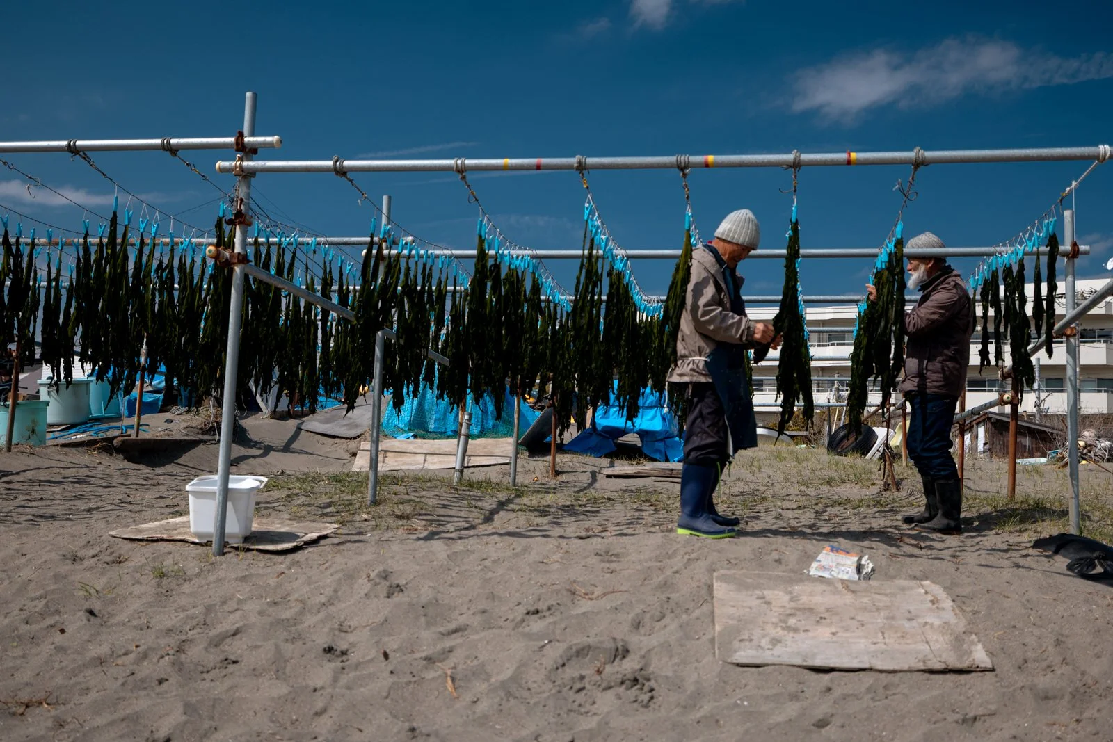 2026 JAPAN KAMAKURA BEACH-5.jpg