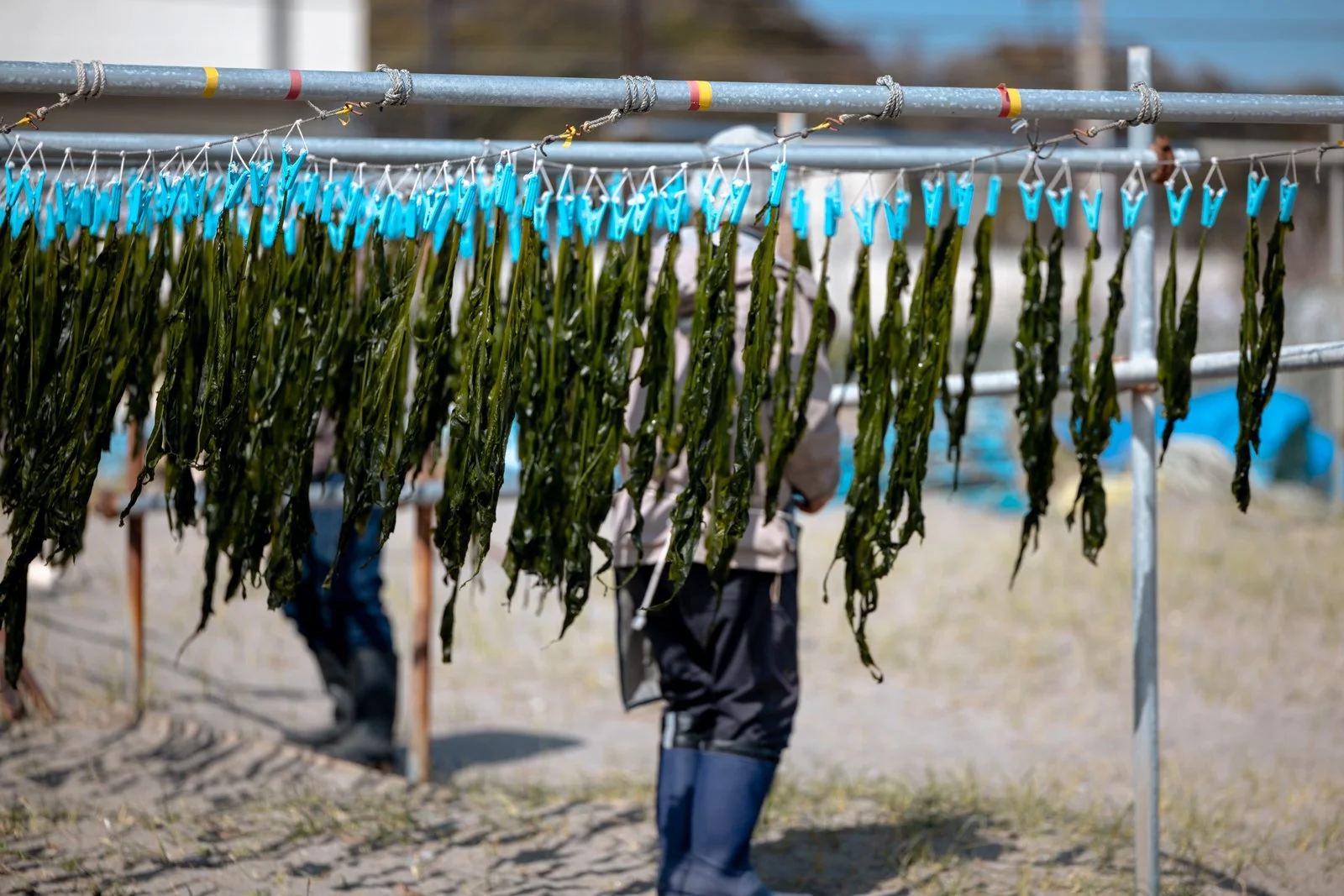 2026 JAPAN KAMAKURA BEACH-6.jpg