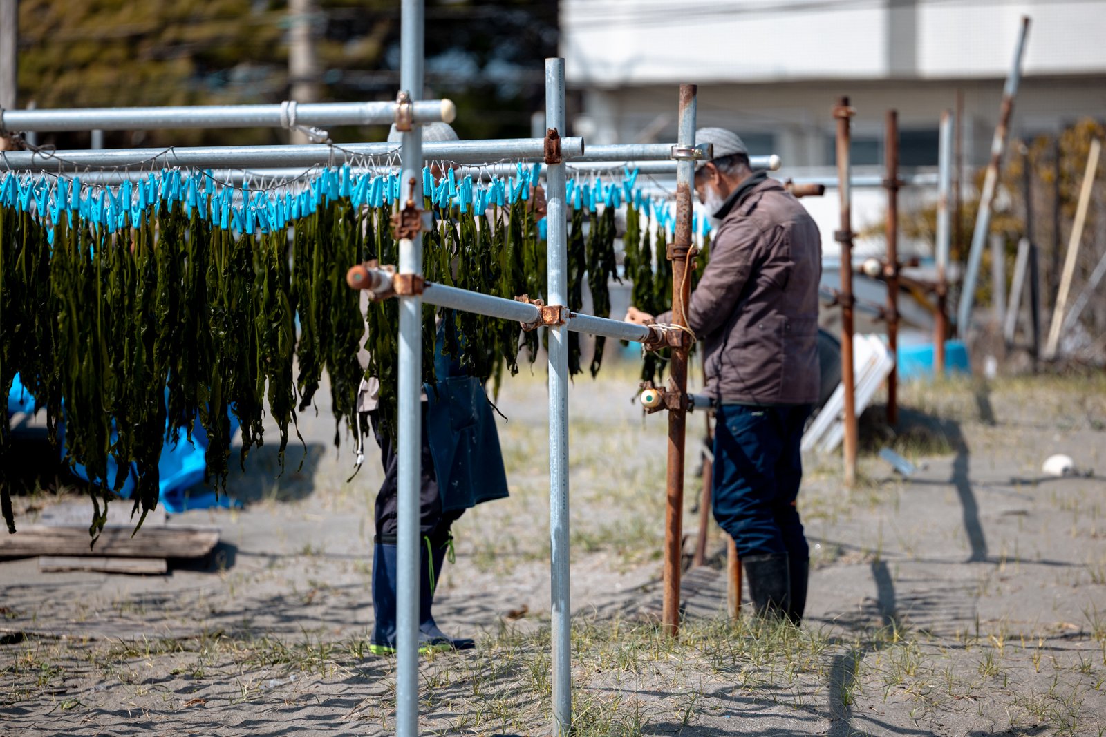 2026 JAPAN KAMAKURA BEACH-7.jpg